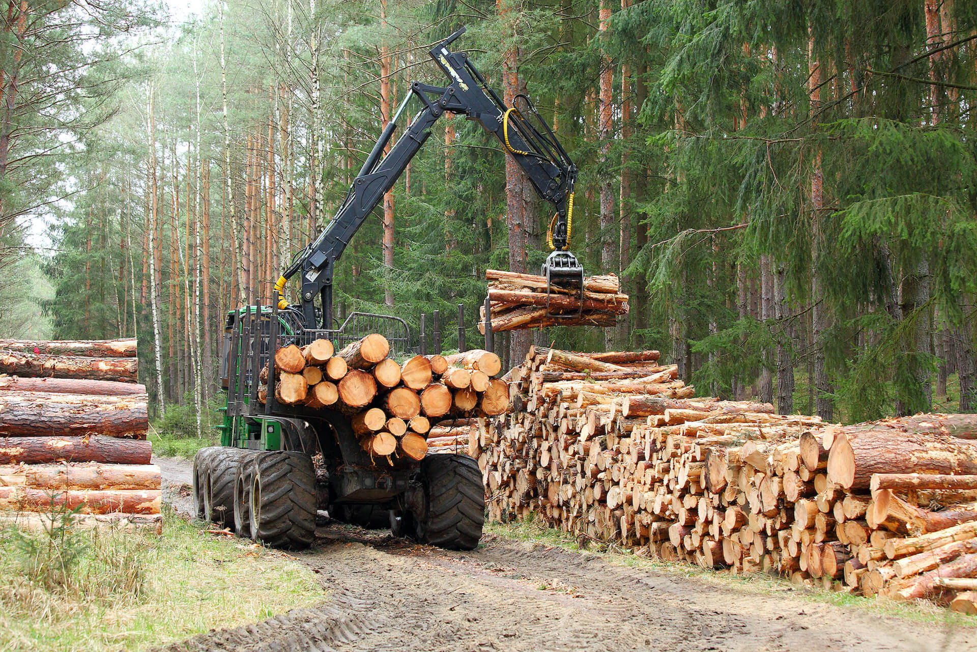 Forstarbeiten im landkreis cham forstarbeiten cham